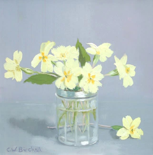Christine Birchall, PRIMROSES
