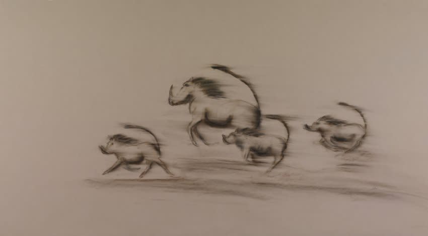 Sarah Elder, WARTHOGS