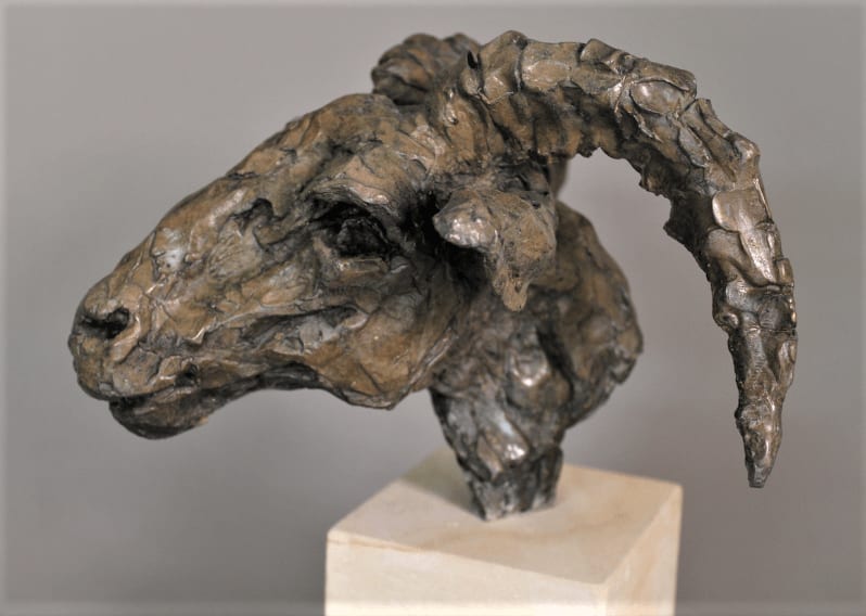 Jane Shaw, MR POWER - HEAD OF A RAM