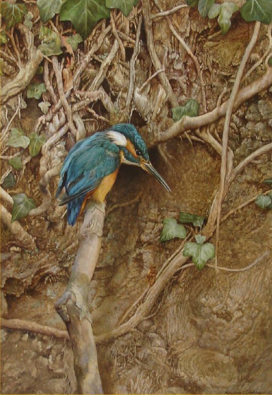 Nicholas Manning, KINGFISHER