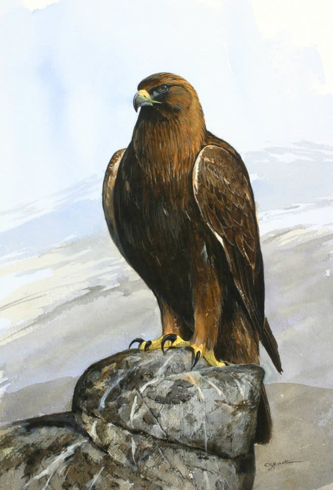 Derek Robertson, EAGLE CRAIG