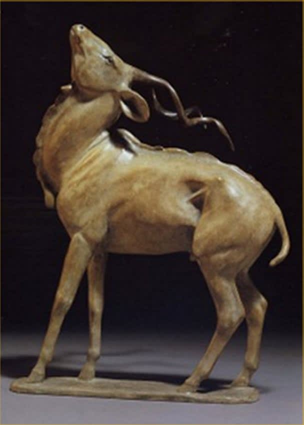 Gill Parker, KUDU