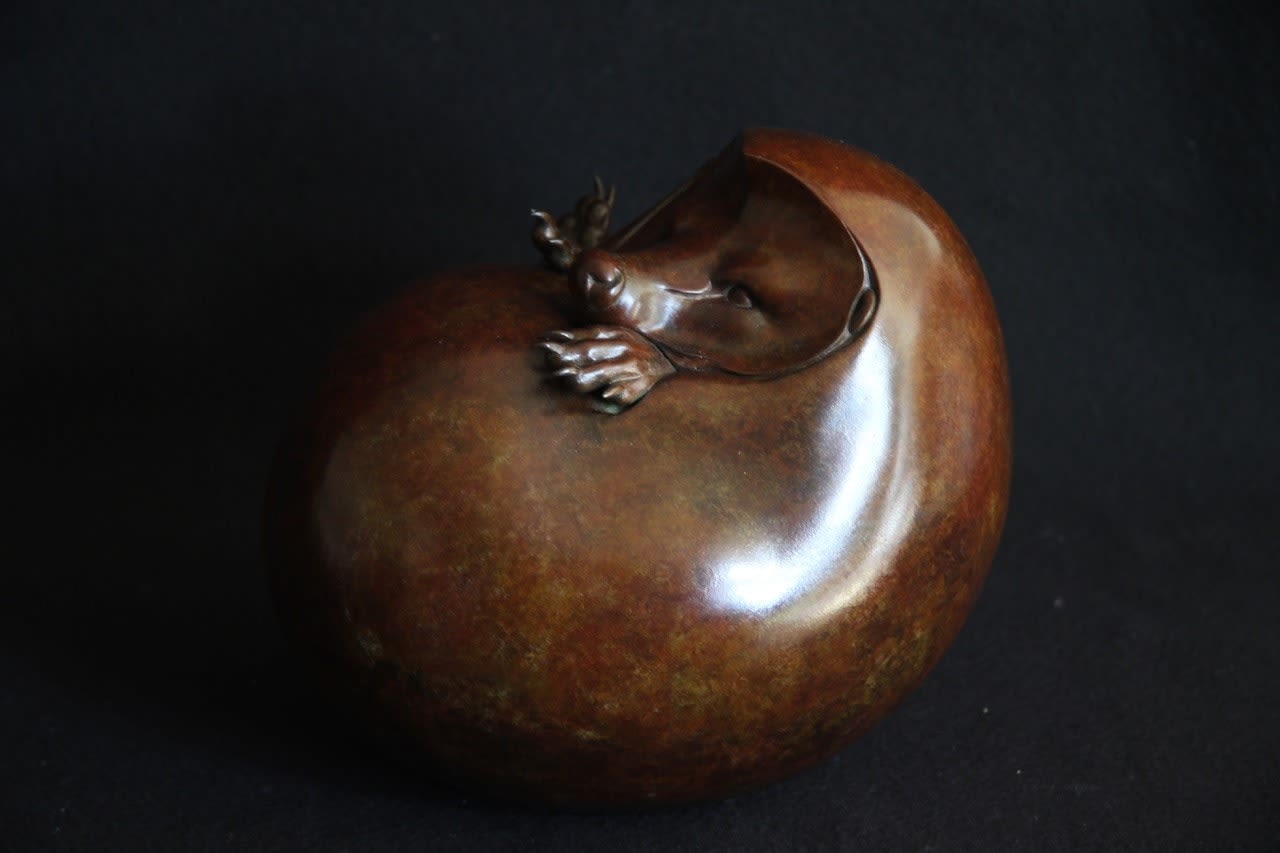 Adam Binder, HEDGEHOG II