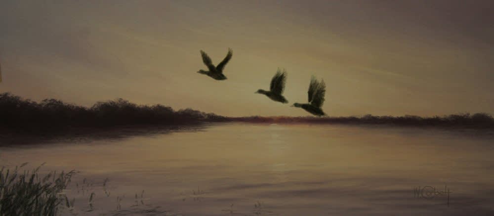 Wendy Corbett, EVENINGS DEPARTURE