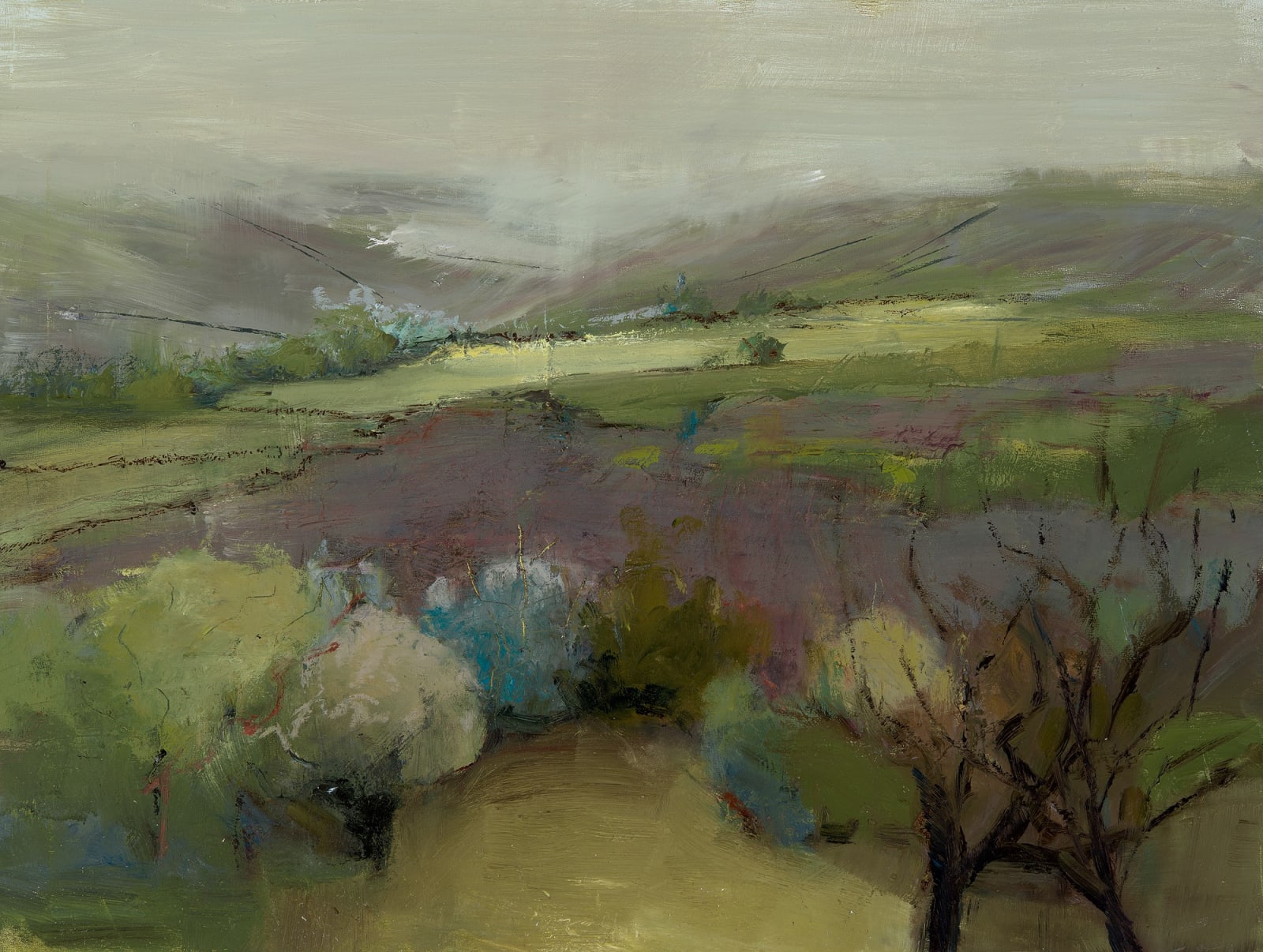 Jane Duff, LOW MISTS OVER THE UPPER MAWDDACH VALLEY