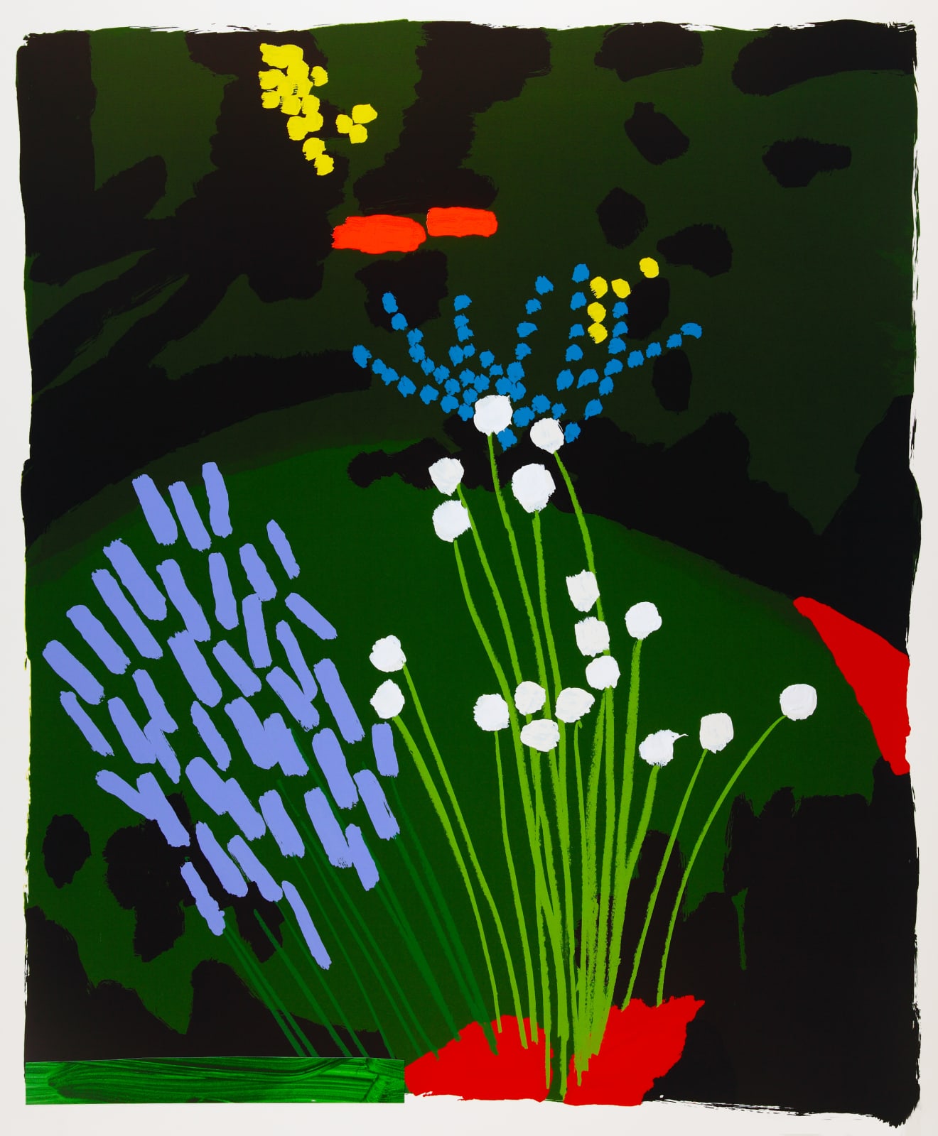Bruce McLean, TULBAGHIA