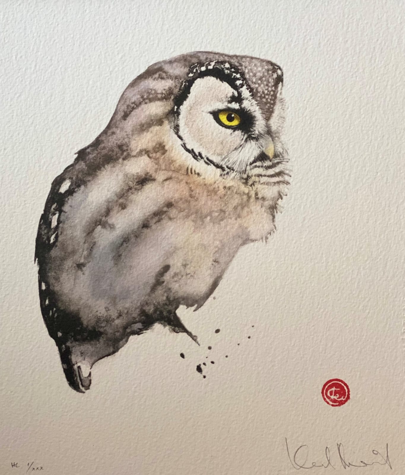 Karl Martens, BOREAL OWL