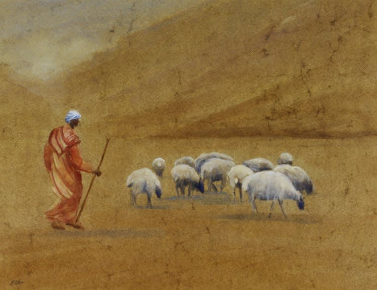 Sarah Elder, TENDING THE FLOCK, HIMALAYAS