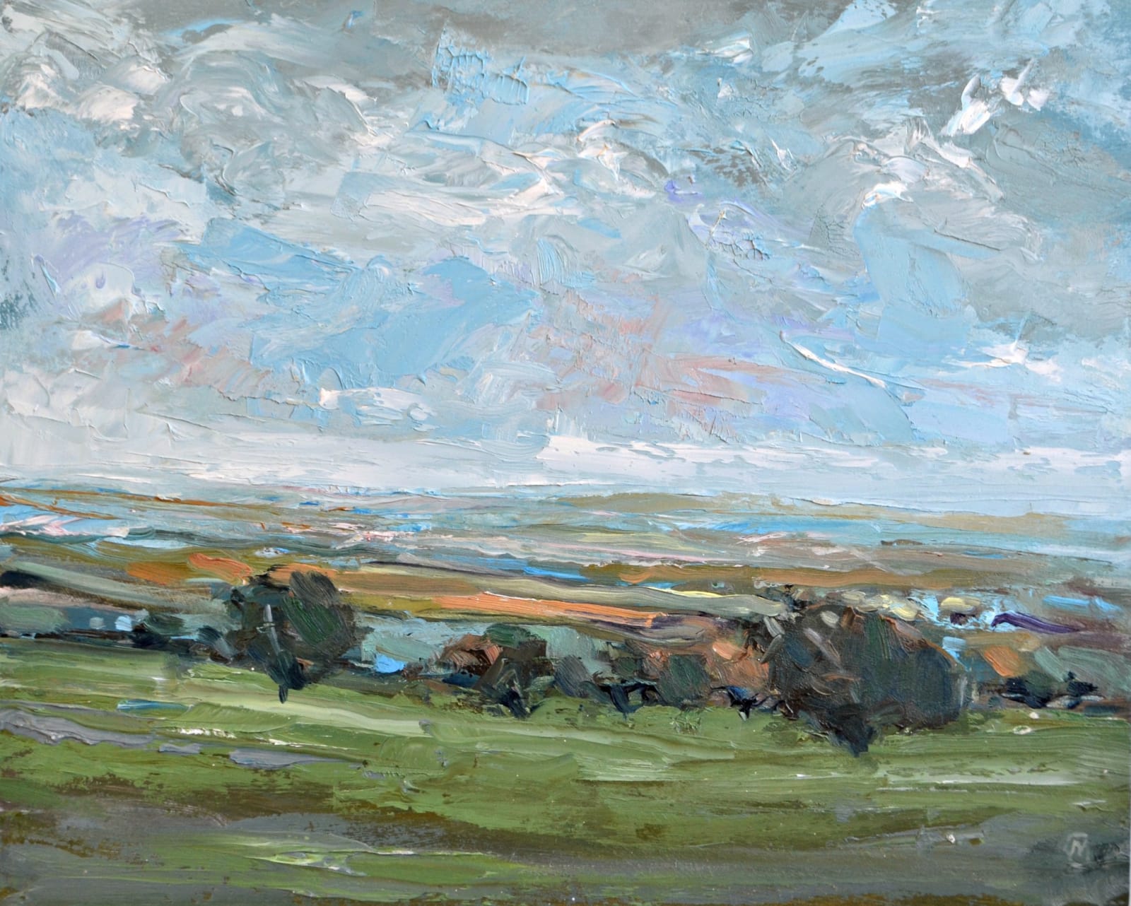 Colin Merrin, HAWTHORNS ACROSS THE DOWNS