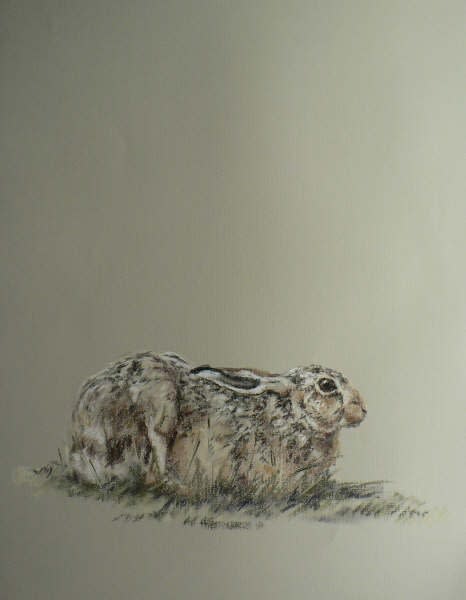 Kate Brooks, LYING LOW