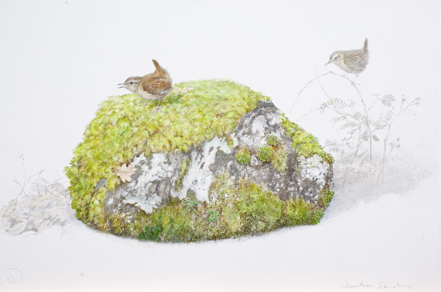 Jonathan Sainsbury, TWO WREN AND ROCK