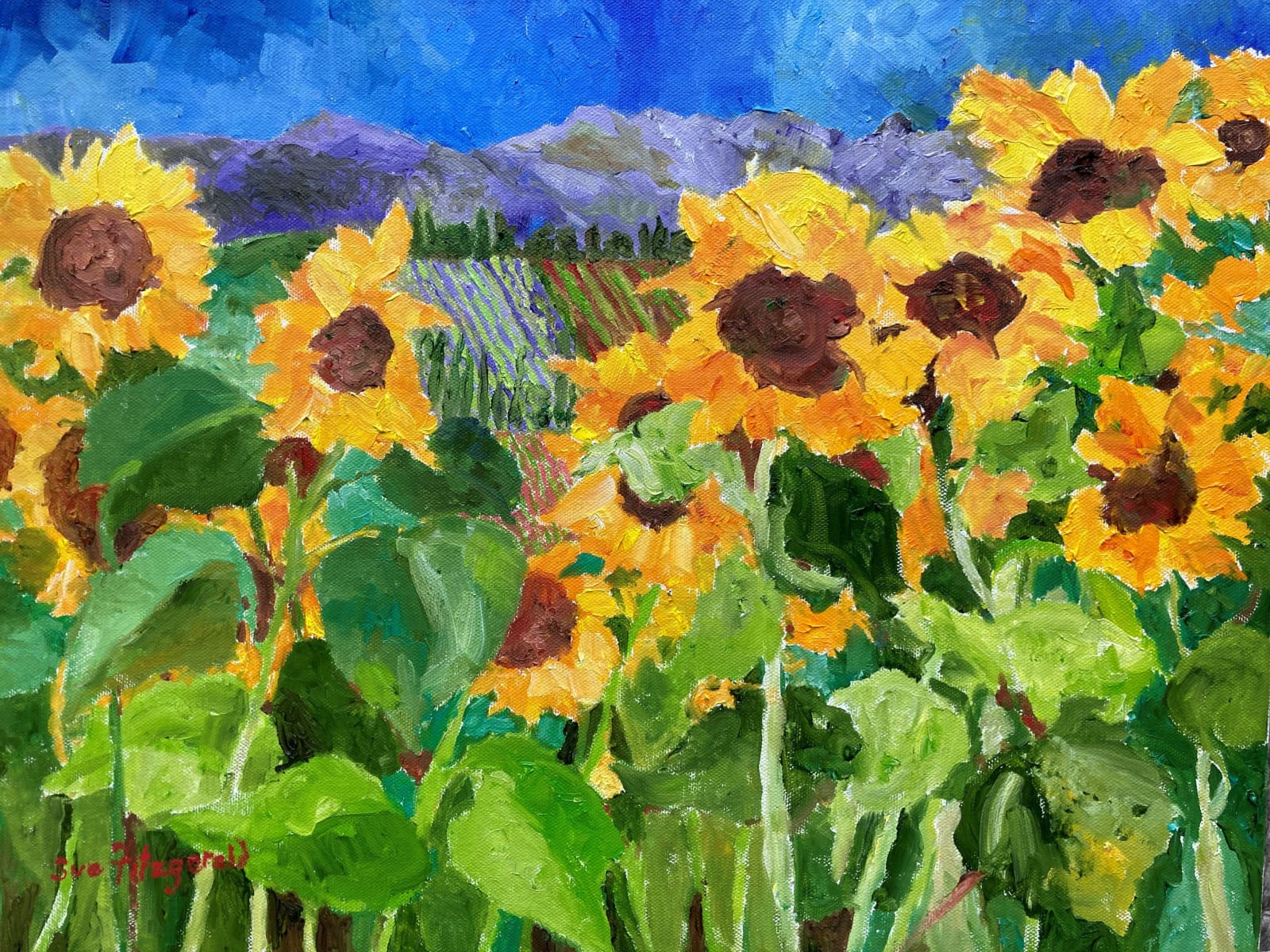 Susan Fitzgerald, BEFORE THE STORM, HERAULT VALLEY