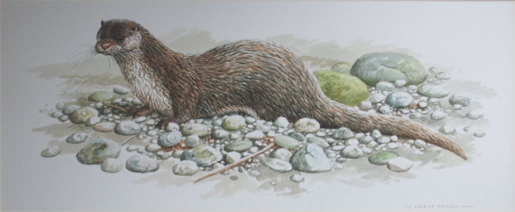 David Parry, OTTER