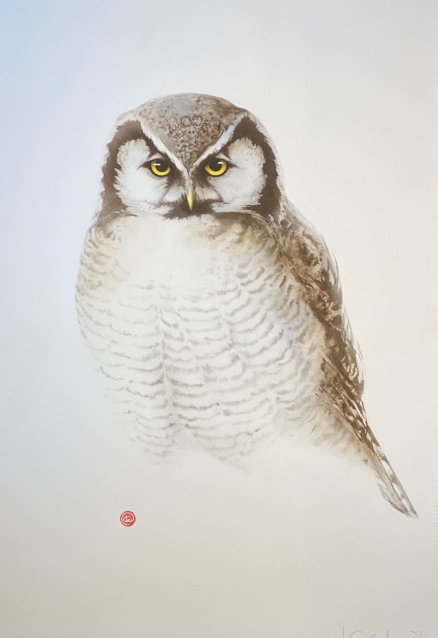 Karl Martens, HAWK OWL