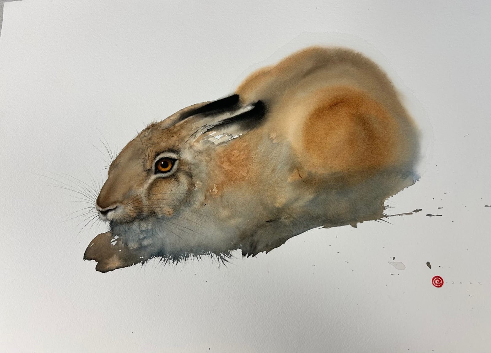 Karl Martens, HARE II