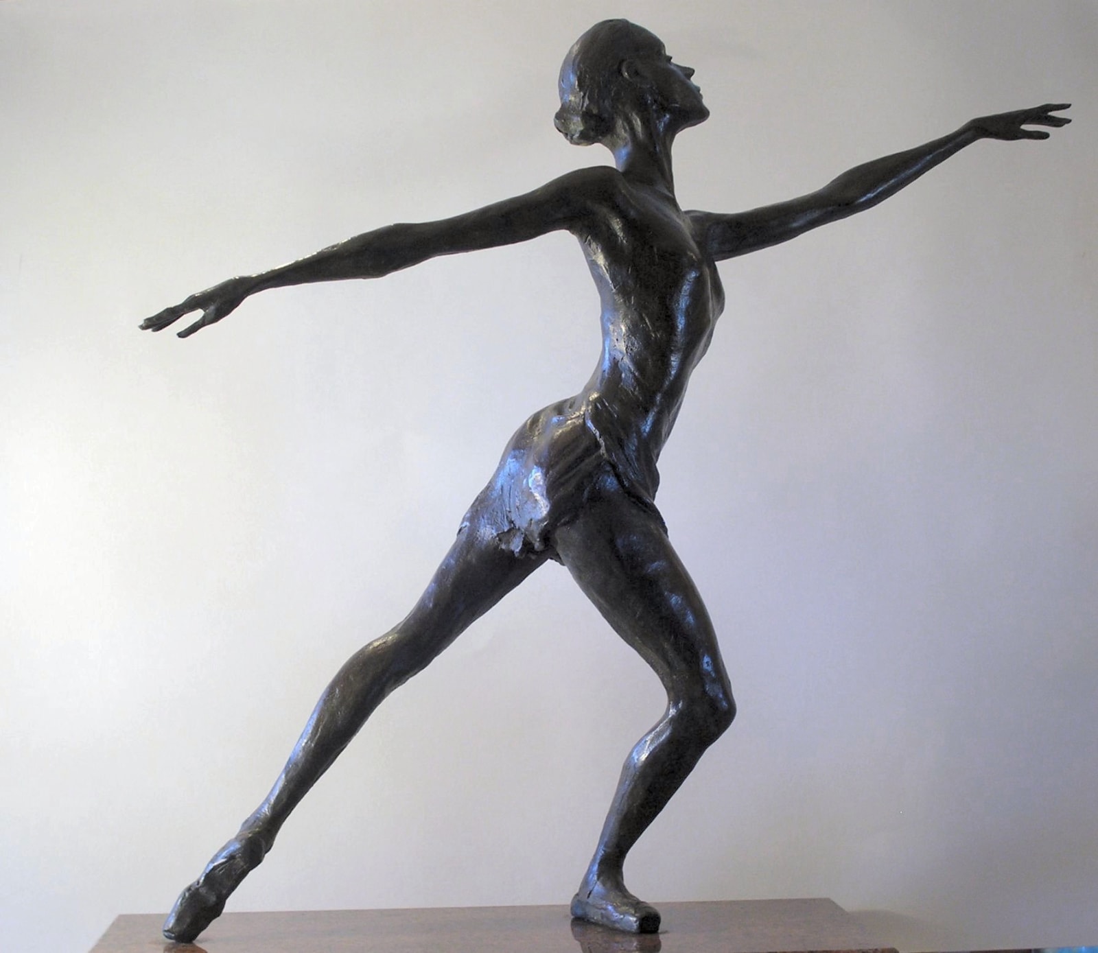 Howard Phipps, CLEARBURY RING FROM HOMINGTON DOWN