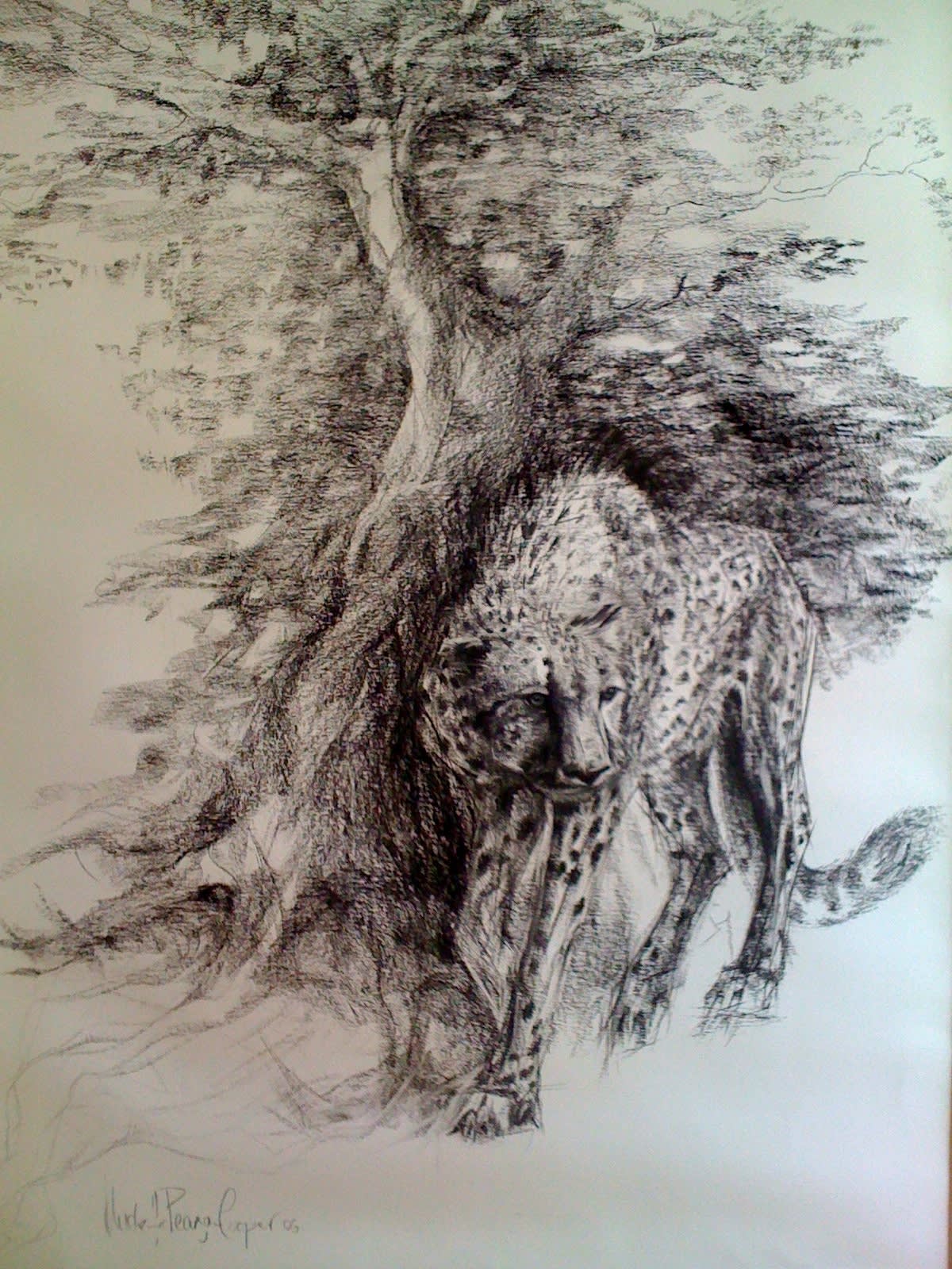 Michelle Pearson Cooper, CHEETAH AND TREE