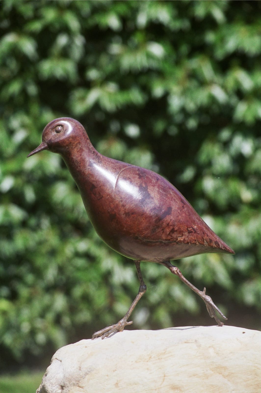 Lynda Hukins, PLOVER