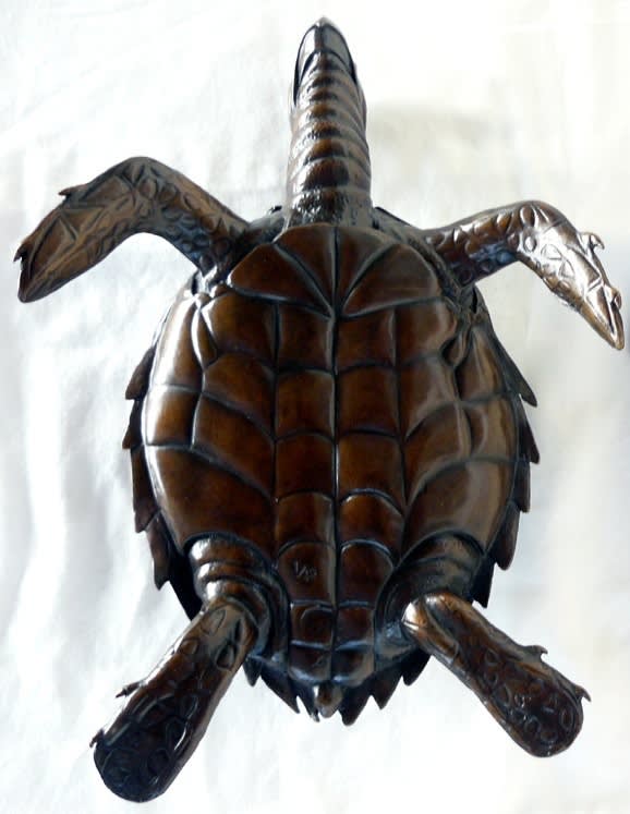 Robert Humphreys, HAWKSBILL TURTLE