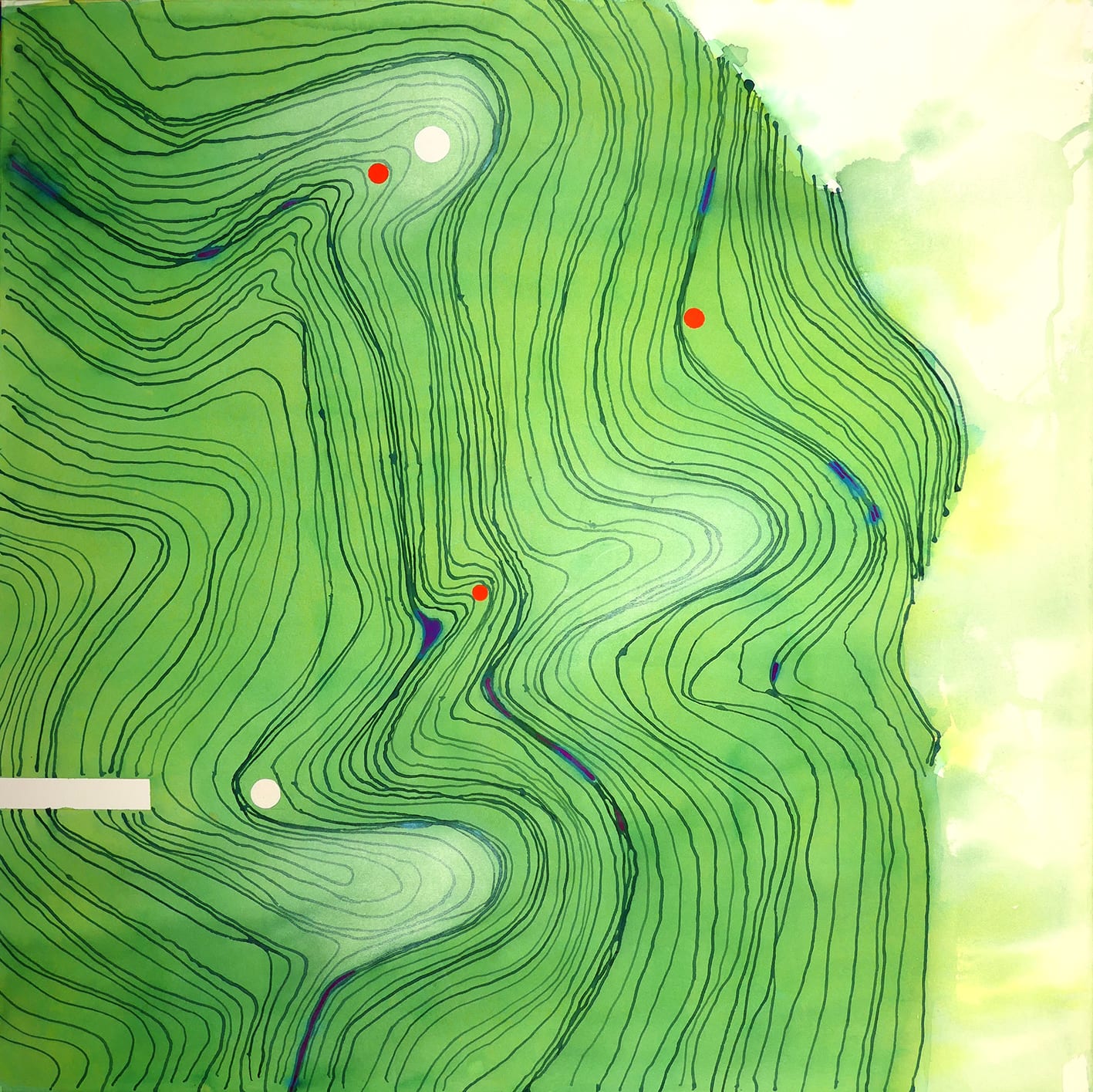 Edward Hutchison, FORCES WITHIN OAKS 8