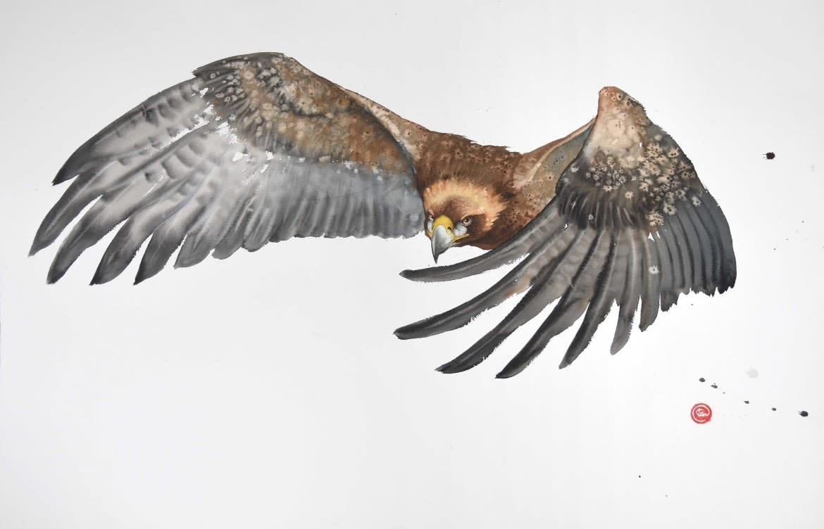 Karl Martens, GOLDEN EAGLE IN FLIGHT