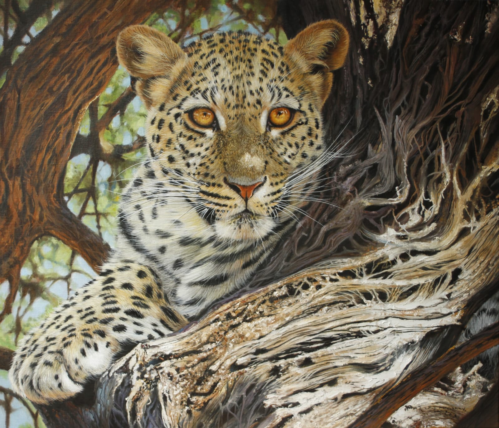 Pip Mcgarry, LEOPARD HIDEOUT