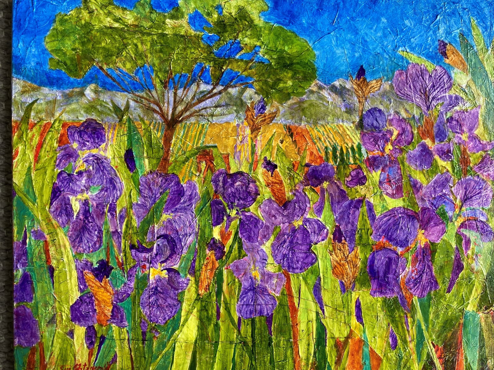 Susan Fitzgerald, EASTER IRISES, LANGUEDOC