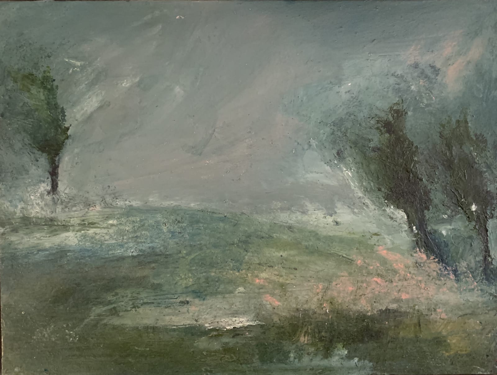 Rachel Arif, PINK BLOSSOM