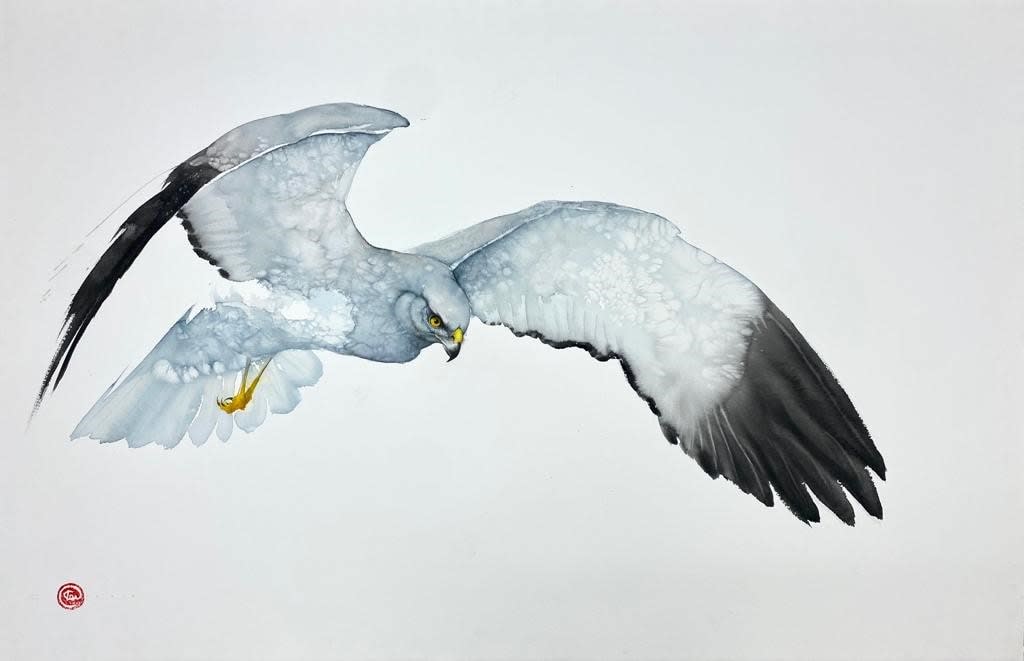Karl Martens, HEN HARRIER I