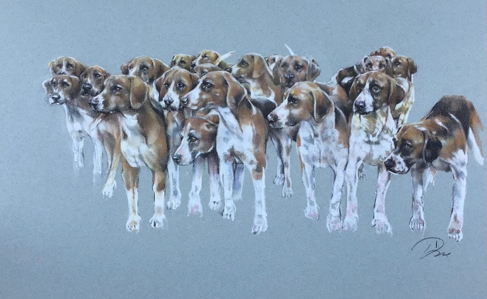 Paula Vize, SPARKFORD VALE HOUNDS