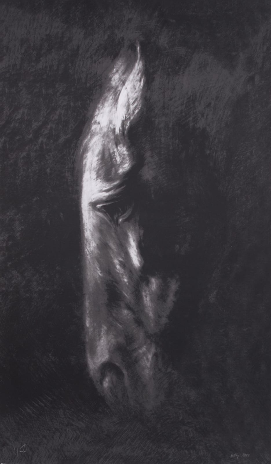 Nic Fiddian-Green, HORSE AT WATER