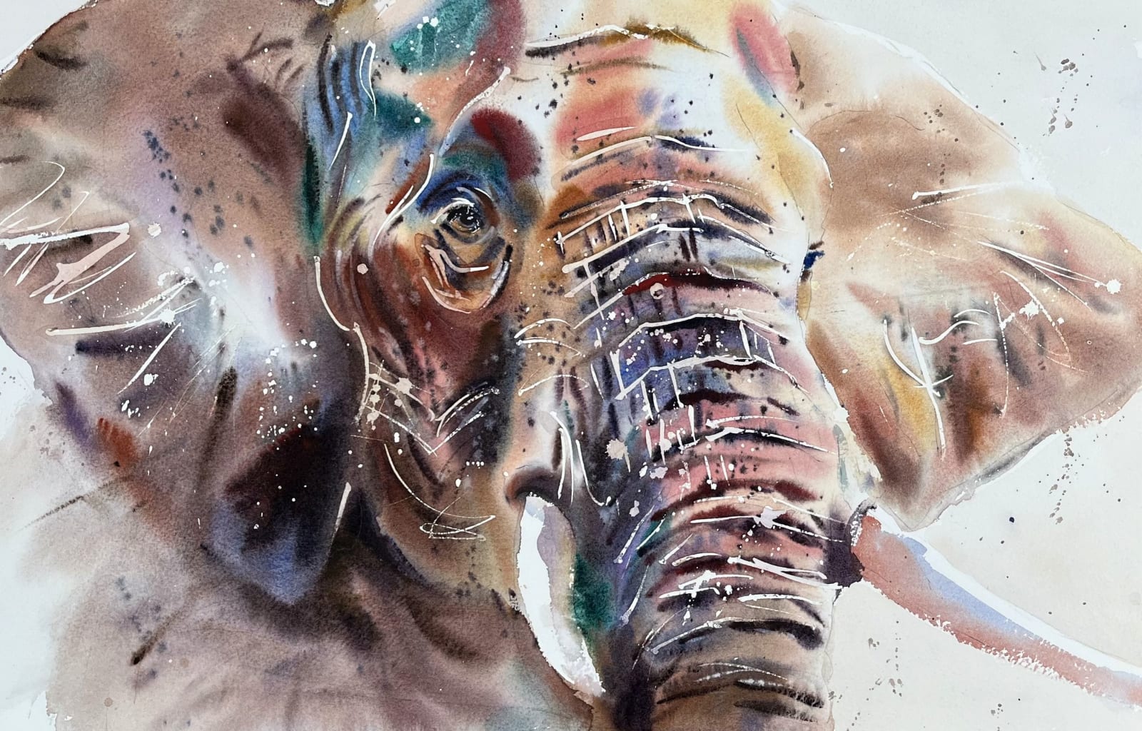 Jake Winkle, REGAL ELEPHANT