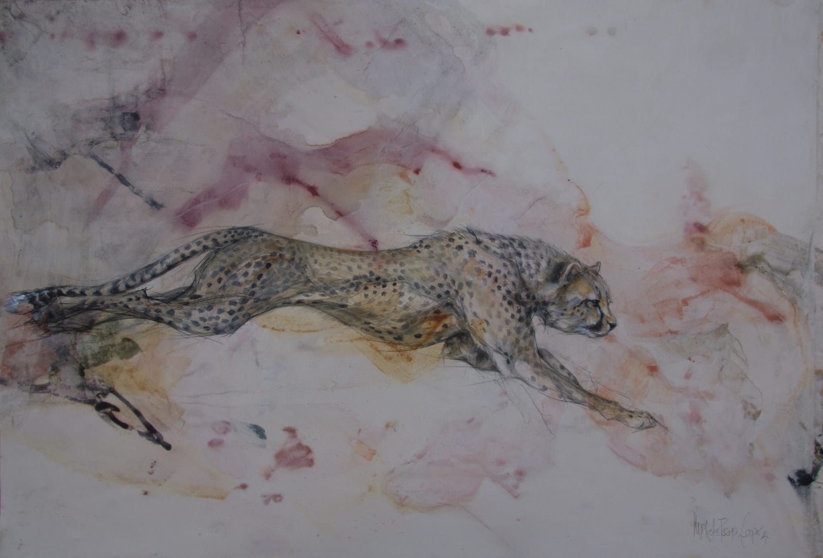 Michelle Pearson Cooper, NAMIBIAN CHEETAH