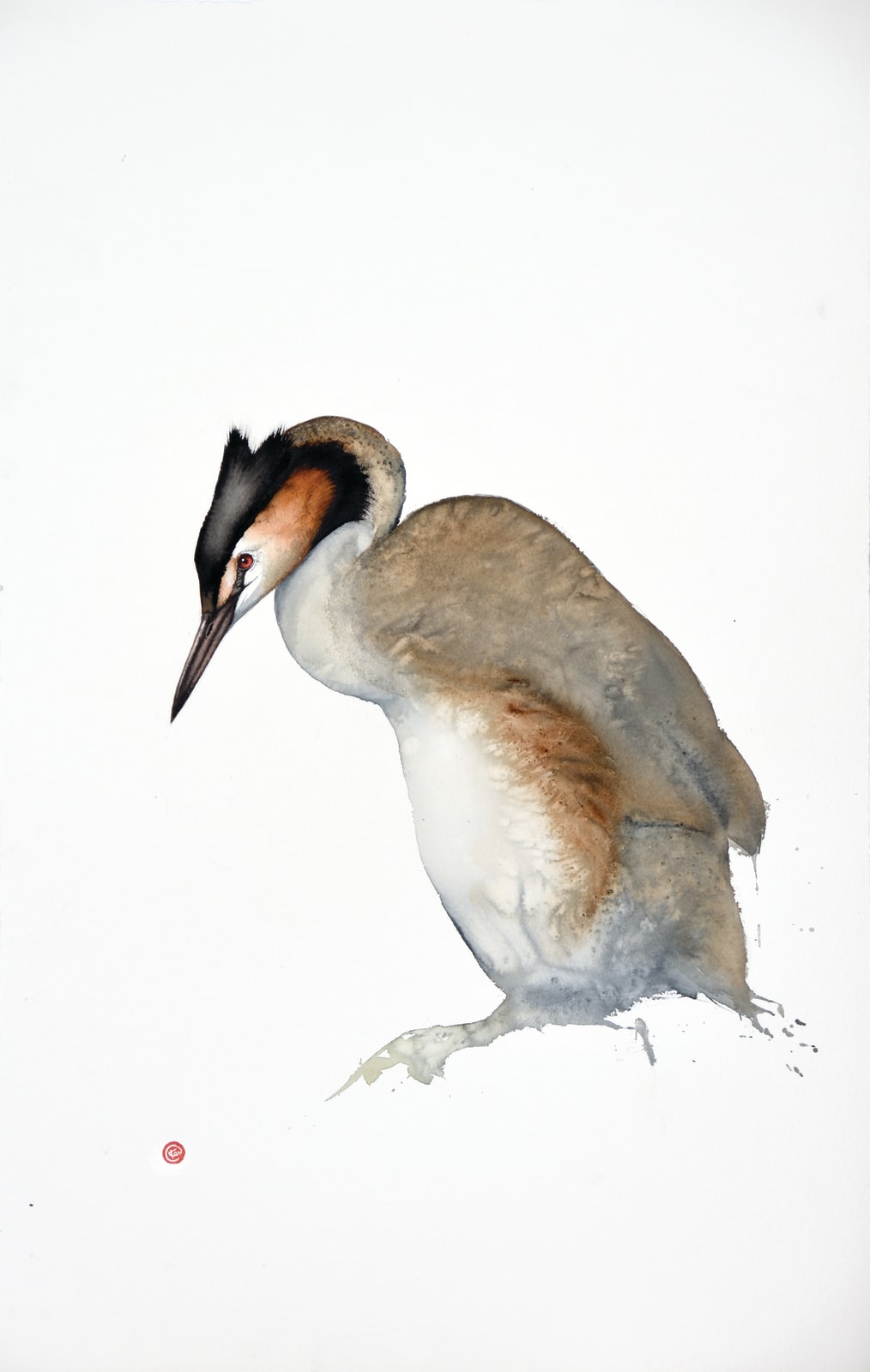 Karl Martens, CRESTED GREBE (Unframed), 2022