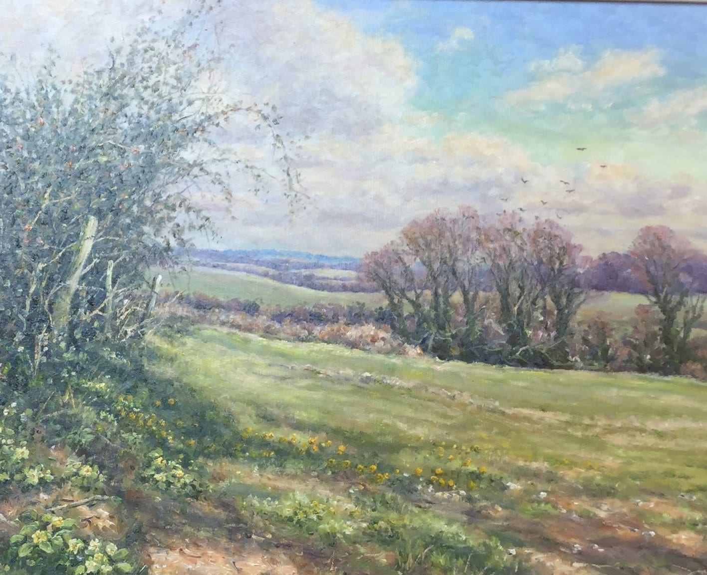 Mervyn Goode, PRIMROSES AND HEDGEROW SHADOWS