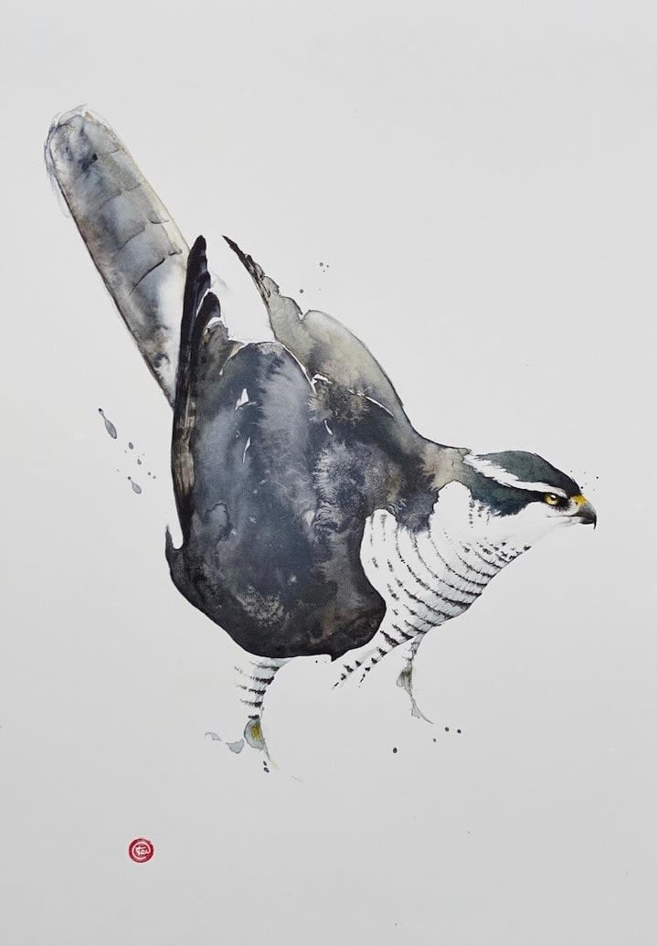 Karl Martens, GOSHAWK