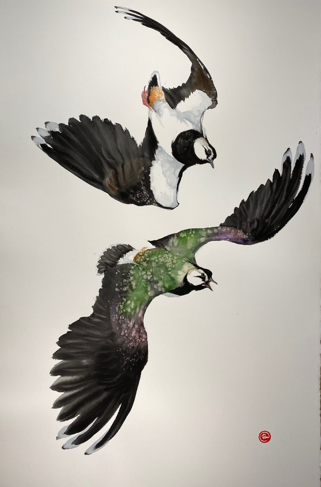 Karl Martens, LAPWINGS
