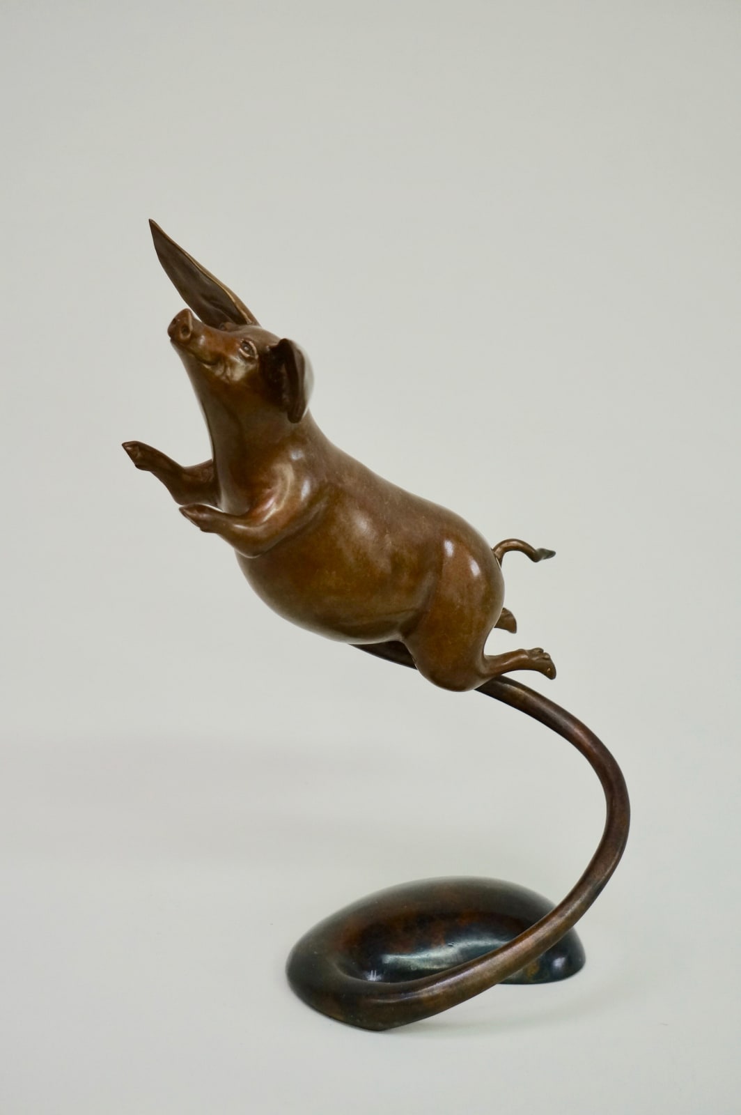 Bryn Parry, PIGS MIGHT FLY