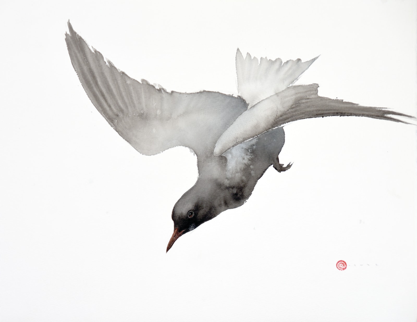 Karl Martens, BLACK TERN (Unframed), 2022