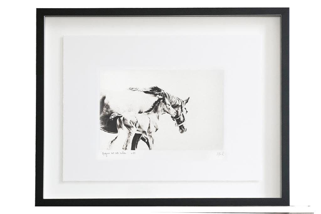 Astrid Harrisson, ARAGORN: COLT WITH MOTHER