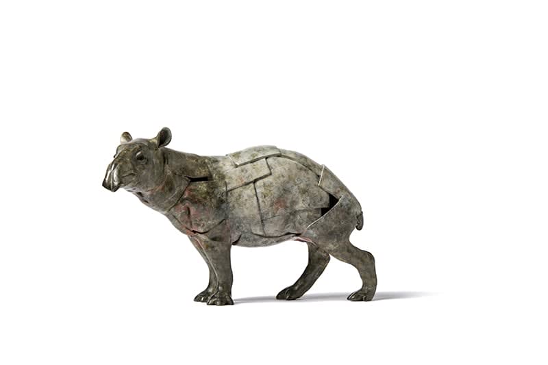 Fred Gordon, MALAYAN TAPIR