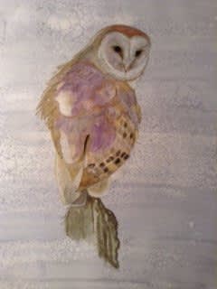 Christina Meade, BARN OWL