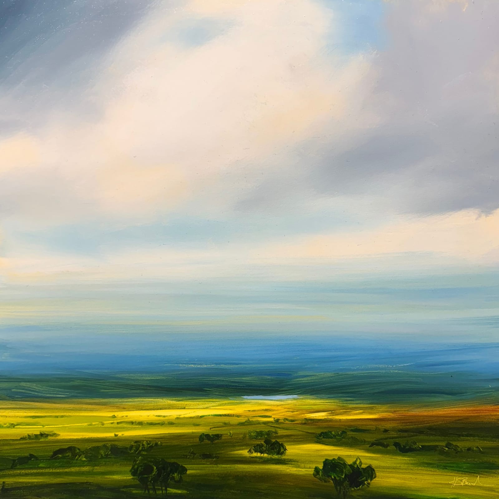 Harry Brioche, MORNING LIGHT