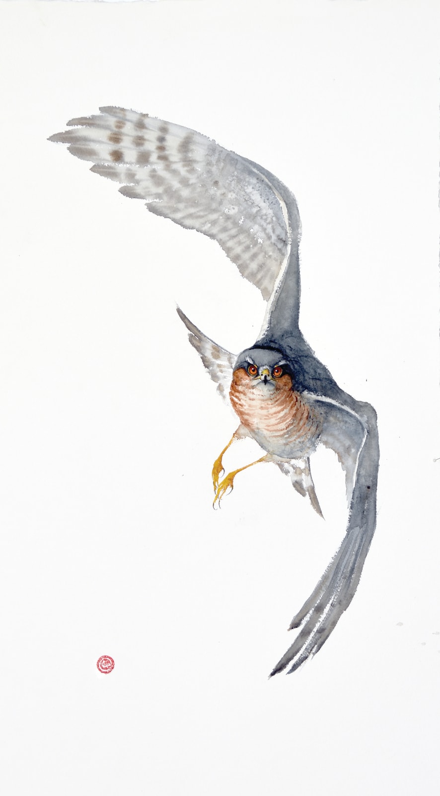 Karl Martens, SPARROWHAWK (Unframed), 2022
