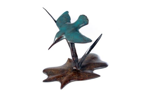 Andrew Glasby, DIVING KINGFISHER