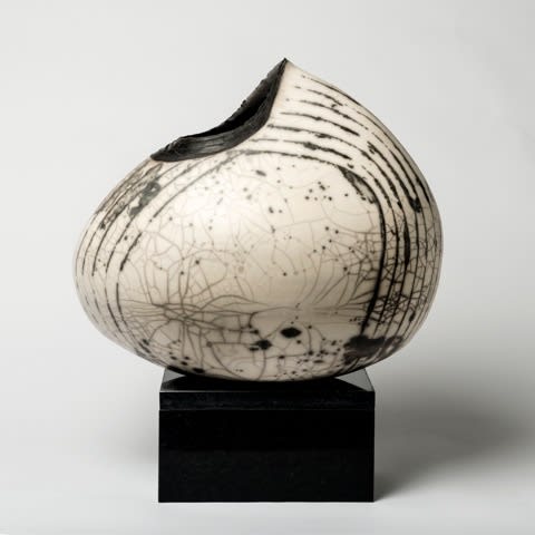 Hilary Simms, LARGE WHITE NAUTILUS