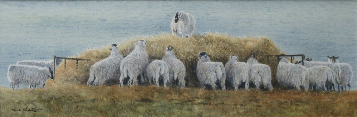 Gordon Rushmer, WINTER FEED, TREYFORD