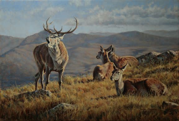 Justin Prigmore, ANSWERING A CHALLENGE