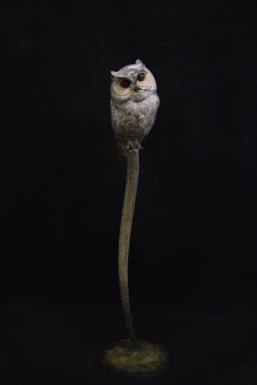 Adam Binder, SCOPS OWL