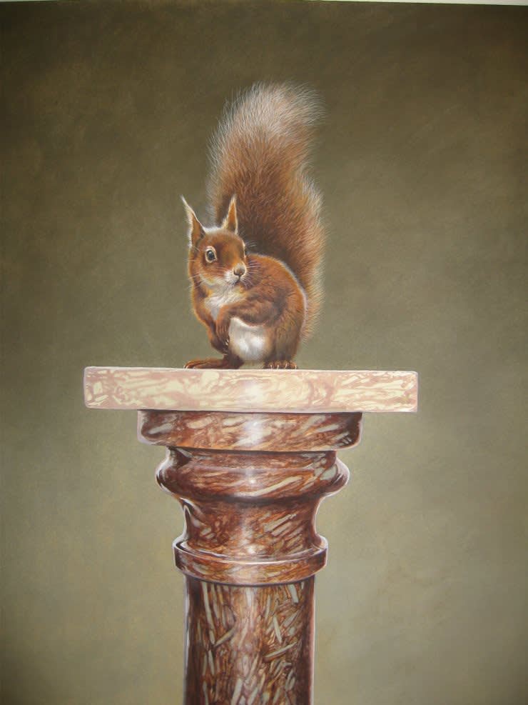 Tim Hayward, RED SQUIRREL